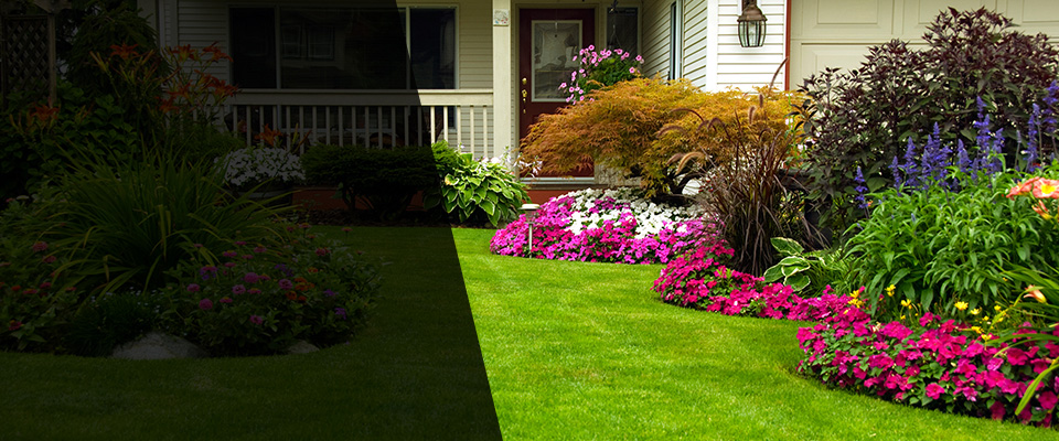 Erin Landscapers