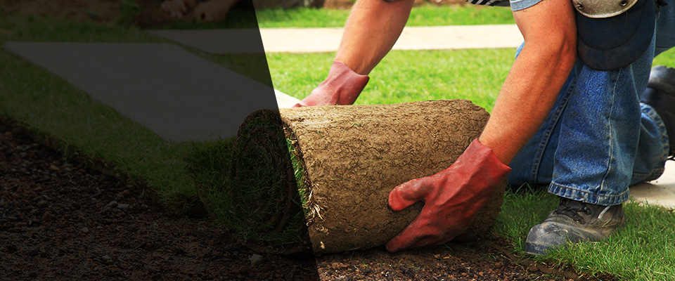 Erin Landscapers